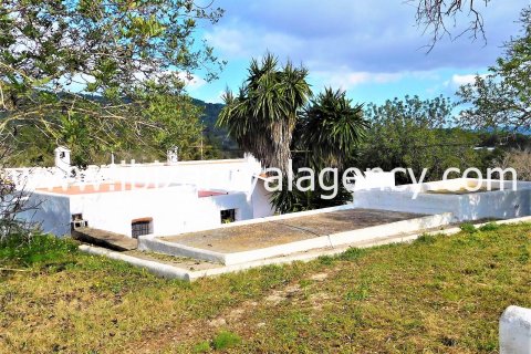 Villa en venta en Santa Gertrudis De Fruitera, Ibiza, España 5 dormitorios, 500 m2 No. 30865 - foto 9