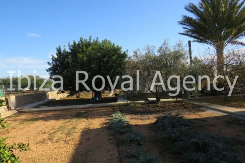 Villa en venta en San Jordi De Ses Salines, Ibiza, España 3 dormitorios, 200 m2 No. 30867 - foto 9