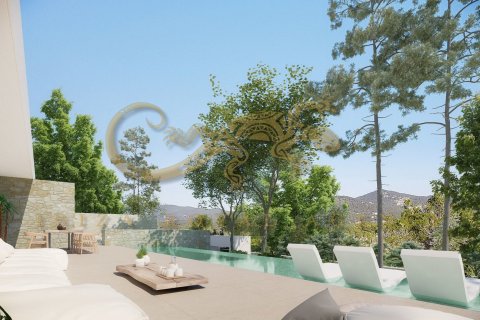 Villa en venta en Santa Eulalia Del Rio, Ibiza, España 5 dormitorios, 743 m2 No. 30788 - foto 3