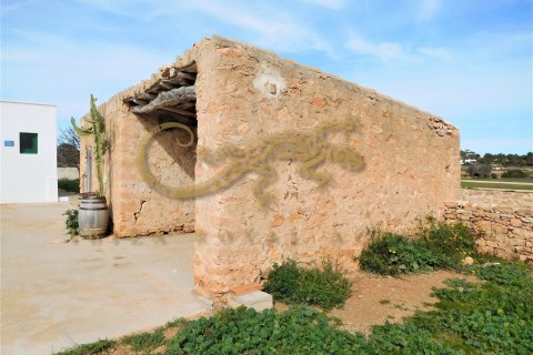 Villa en venta en Cap De Barbaria, Formentera, España 3 dormitorios, 135 m2 No. 30850 - foto 4
