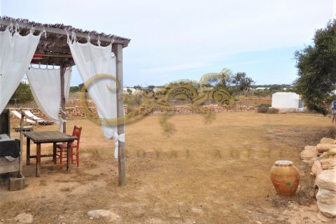 Villa en venta en Formentera, España 3 dormitorios, 95 m2 No. 30858 - foto 4