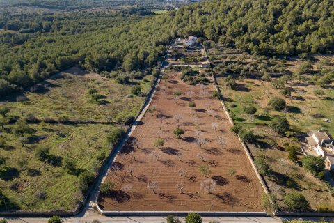 Finca en venta en Cala Murada, Mallorca, España 4 dormitorios, 326 m2 No. 32924 - foto 19