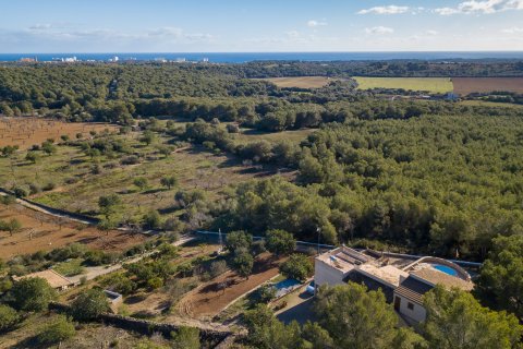 Finca en venta en Cala Murada, Mallorca, España 4 dormitorios, 326 m2 No. 32924 - foto 28