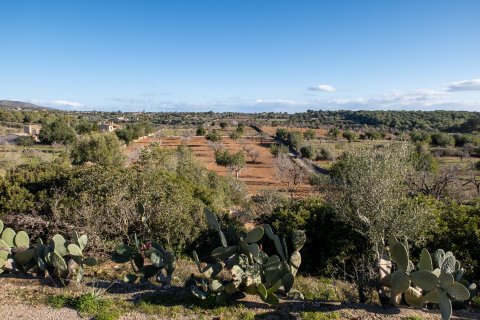 Finca en venta en Cala Murada, Mallorca, España 4 dormitorios, 326 m2 No. 32924 - foto 27