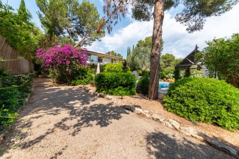 Villa en venta en Sol De Mallorca, Mallorca, España 4 dormitorios, 439 m2 No. 32613 - foto 28