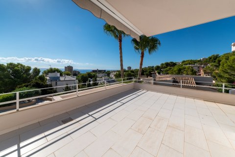 Villa en venta en Cas Catala, Mallorca, España 4 dormitorios, 292 m2 No. 32490 - foto 9
