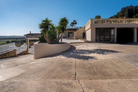 Villa en venta en Muro, Mallorca, España 3 dormitorios, 404 m2 No. 36186 - foto 25