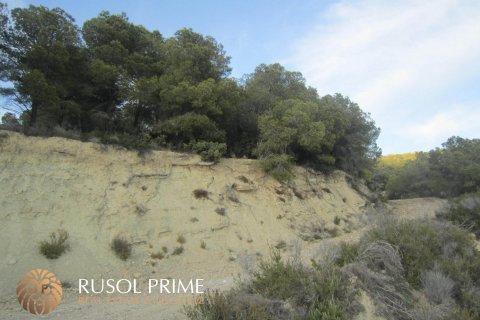 Parcela en venta Benissa, Alicante, España 33500 m2 No. 39403 - foto 4