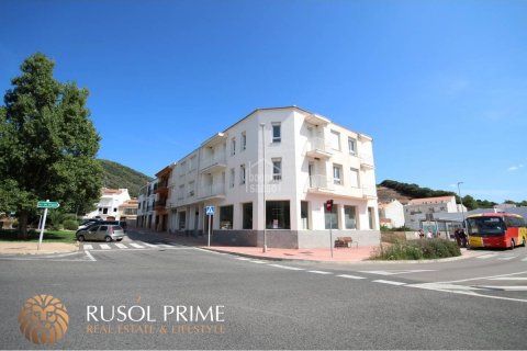 Сasa en venta en Ferreries, Menorca, España 30 dormitorios, 2042 m2 No. 10651 - foto 1