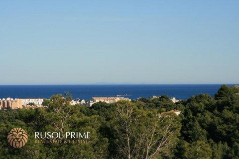 Parcela en venta en Jávea, Alicante, España 1000 m2 No. 39325 - foto 13