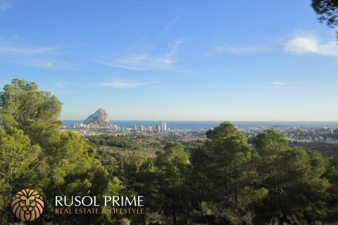 Parcela en venta Benissa, Alicante, España 33500 m2 No. 39403 - foto 1