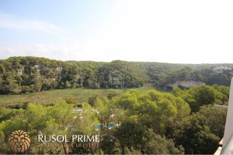Apartamento en venta Ferreries, Menorca, España 2 dormitorios, 72 m2 No. 39114 - foto 18