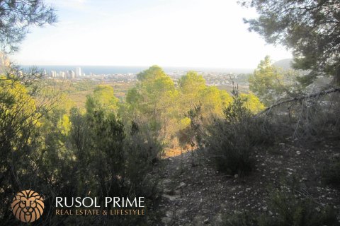 Parcela en venta Benissa, Alicante, España 33500 m2 No. 39403 - foto 6