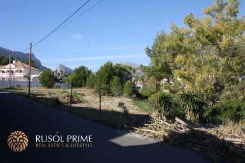 Parcela en venta Calpe, Alicante, España 1840 m2 No. 39367 - foto 4