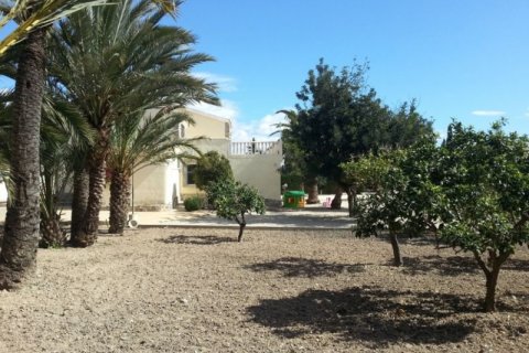 Villa en venta en Alicante, España 6 dormitorios, 450 m2 No. 45369 - foto 7