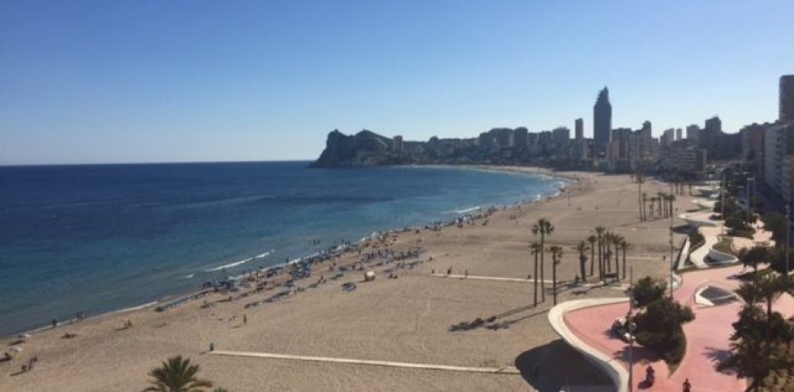 Apartamento en Benidorm, Alicante, España 1 dormitorio, 60 m2 No. 45950