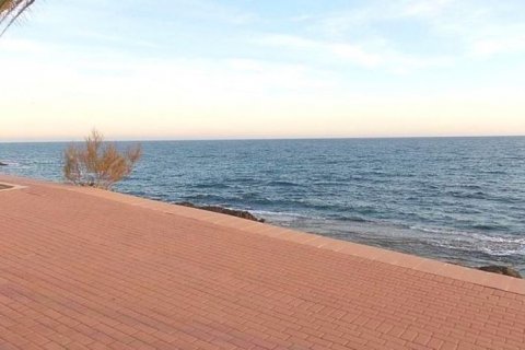 Villa en venta en Alicante, España 8 dormitorios, 550 m2 No. 45029 - foto 3