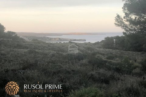 Parcela en venta en Es Mercadal, Menorca, España 3880 m2 No. 46903 - foto 6