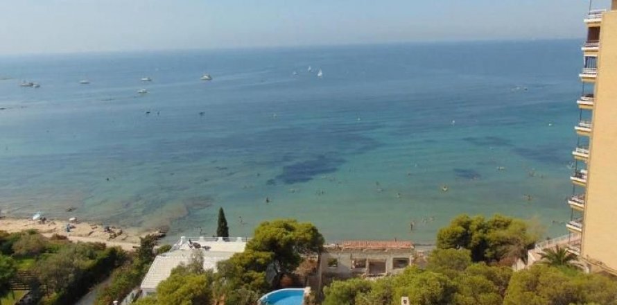 Apartamento Alicante, España 3 dormitorios, 90 m2 No. 45186