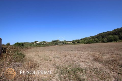 Parcela en venta Alayor, Menorca, España 779 m2 No. 46956 - foto 4