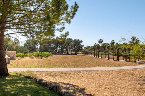 Villa en venta en Algaida, Mallorca, España 8 dormitorios, 565 m2 No. 47395 - foto 17