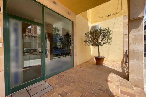 Propiedad comercial en venta en Port D'andratx, Mallorca, España 50 m2 No. 41056 - foto 2