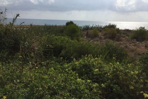 Villa en venta en El Campello, Alicante, España 236 m2 No. 44073 - foto 8