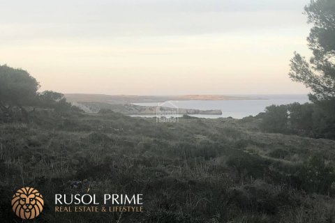 Parcela en venta en Es Mercadal, Menorca, España 3880 m2 No. 46903 - foto 5