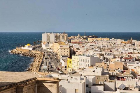 El lujo de vivir en una finca en Cádiz, al alcance de unos pocos