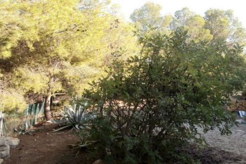 Villa en venta Benidorm, Alicante, España 380 m2 No. 44976 - foto 6