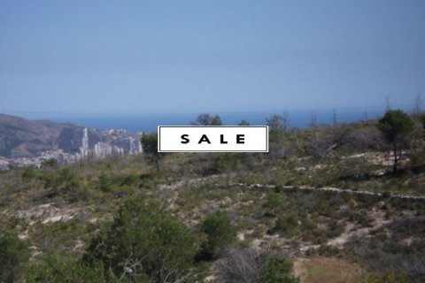 Parcela en venta en La Nucia, Alicante, España No. 45904 - foto 4