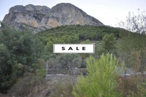 Parcela en venta en Polop, Alicante, España No. 45897 - foto 2