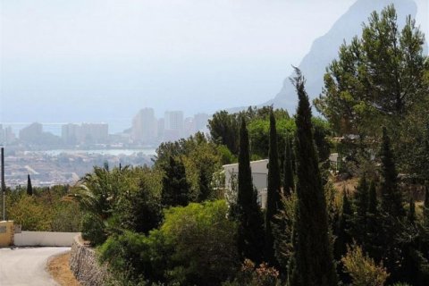 Villa en venta en Calpe, Alicante, España 5 dormitorios, 500 m2 No. 45332 - foto 5