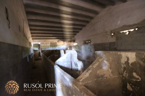 Parcela en venta Alayor, Menorca, España 779 m2 No. 46956 - foto 9