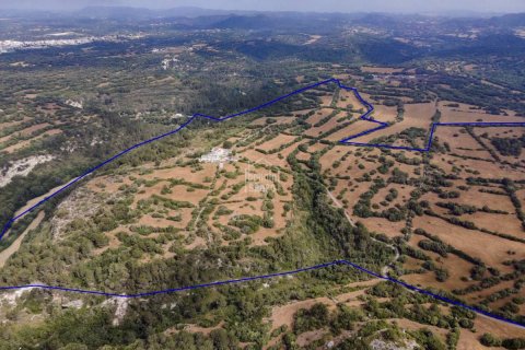 Сasa en venta Alayor, Menorca, España 6 dormitorios, 470 m2 No. 47708 - foto 3