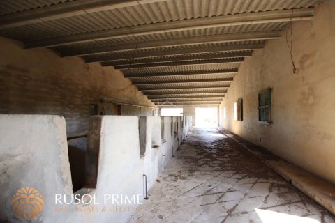 Parcela en venta Alayor, Menorca, España 779 m2 No. 46956 - foto 11