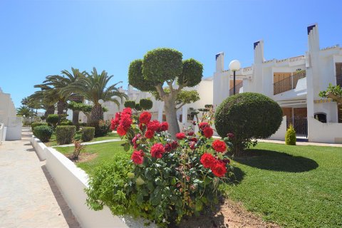 Casa adosada en venta en Cabo Roig, Alicante, España 3 dormitorios, 101 m2 No. 47994 - foto 3