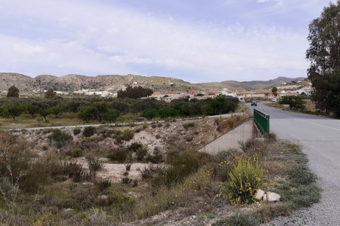 Villa en venta en Sorbas, Almería, España 4 dormitorios, 239 m2 No. 50158 - foto 25