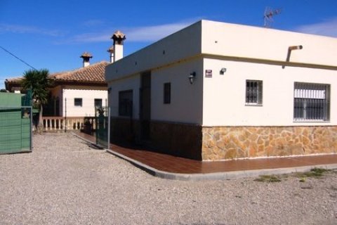 Villa en venta en Los Gallardos, Almería, España 5 dormitorios, 215 m2 No. 50341 - foto 24