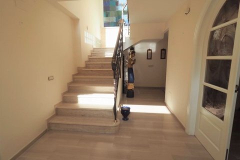 Villa en venta en Elche, Alicante, España 8 dormitorios, 800 m2 No. 50313 - foto 22