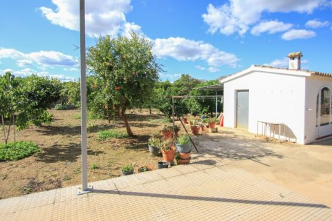 Villa en venta en Ondara, Alicante, España 4 dormitorios, 261 m2 No. 50212 - foto 11