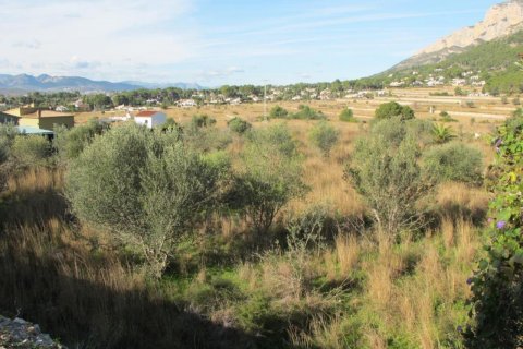 Parcela en venta en Jávea, Alicante, España No. 50194 - foto 2