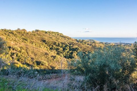 Parcela en venta Marbella Del Este, Málaga, España No. 53460 - foto 8