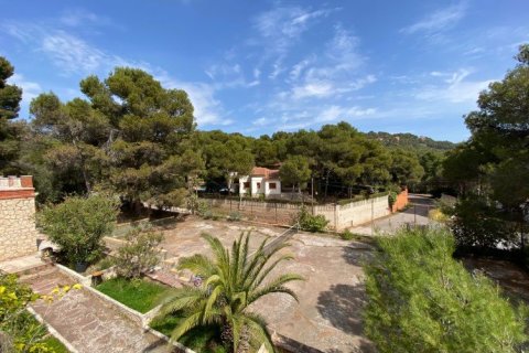 Villa en venta en Naquera, València, España 7 dormitorios, 279 m2 No. 53901 - foto 24