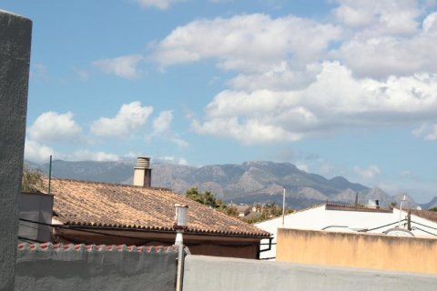 Villa en venta en Palma de Mallorca, Mallorca, España 4 dormitorios, 390 m2 No. 54727 - foto 3