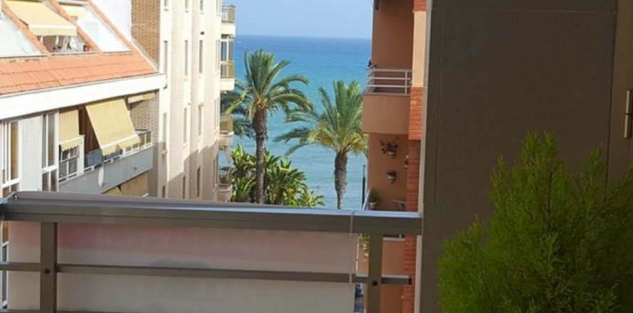 Apartamento en Torrevieja, Alicante, España 3 dormitorios, 102 m2 No. 58331