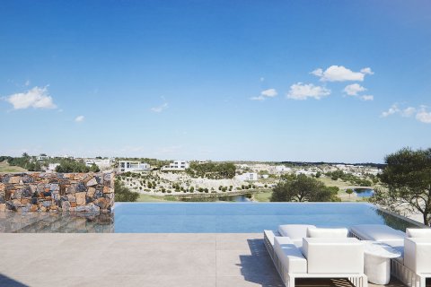 Villa en venta en San Miguel de Salinas, Alicante, España 4 dormitorios, 4000 m2 No. 58029 - foto 5