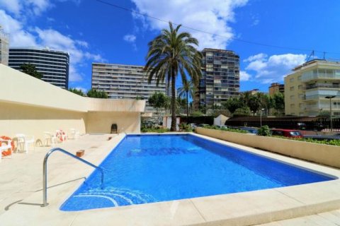 Apartamento en venta en Benidorm, Alicante, España 1 dormitorio, 70 m2 No. 58287 - foto 9
