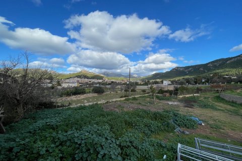 Finca en venta en Andratx, Mallorca, España 4 dormitorios, 259 m2 No. 60573 - foto 4