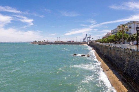 Apartamento en venta Cádiz, España 6 dormitorios, 304 m2 No. 60939 - foto 7